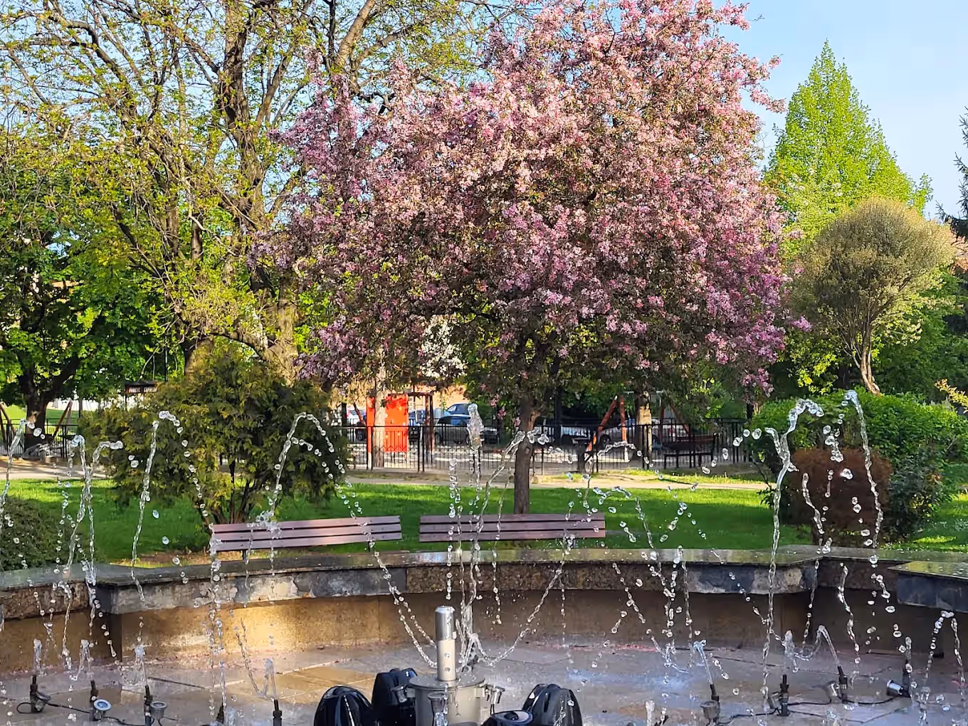 Parcul Tineretului din Sibiu, România, fotografia 4