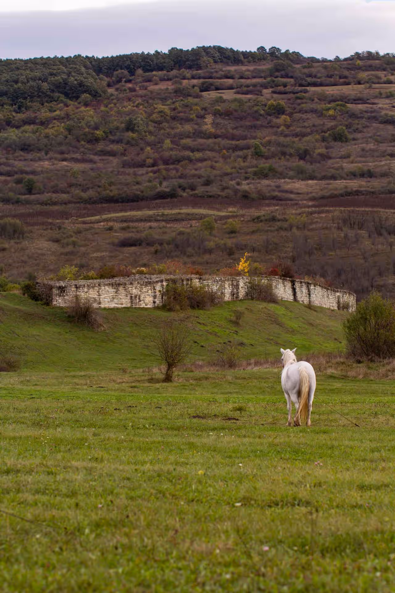 Cetatea Dăbâca din Dăbâca, România, fotografia 4
