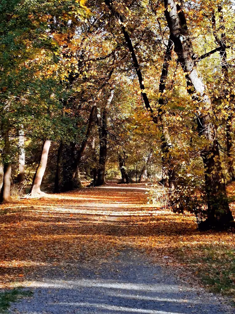 Parcul Sub Arini din Sibiu, România, fotografia 14 Parcul Sub Arini din Sibiu, România, fotografia 14