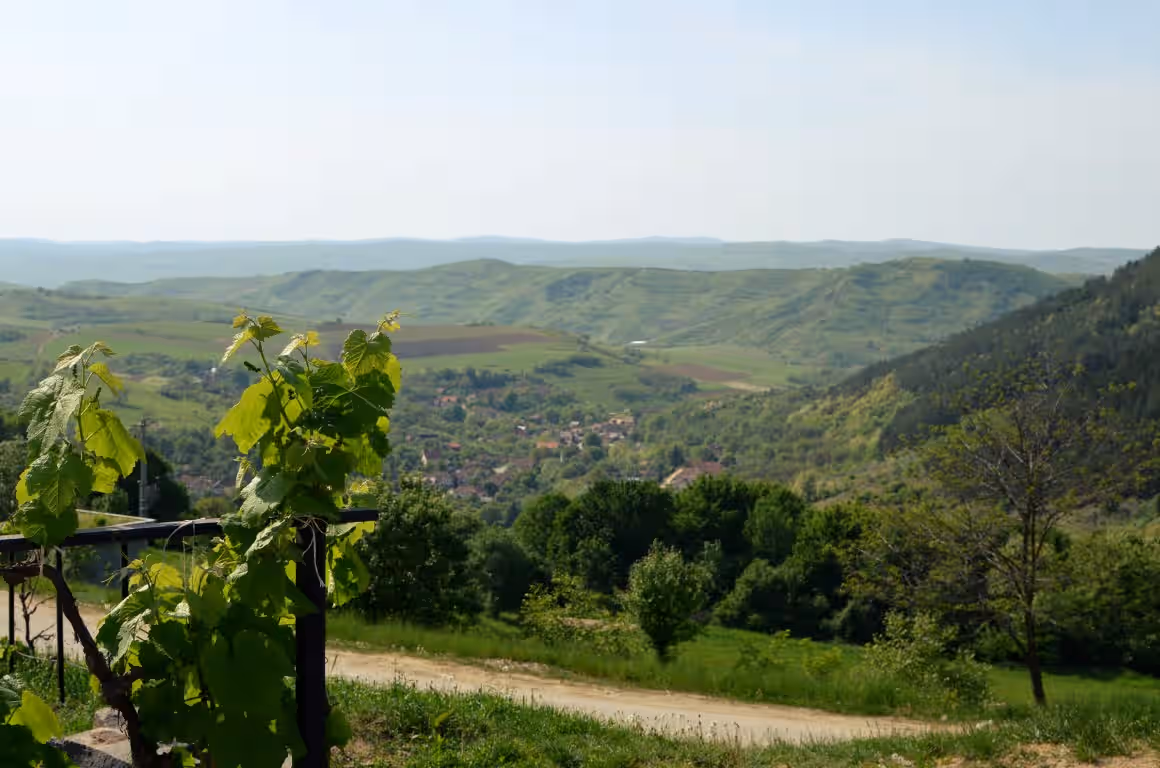 Mănăstirea Nicula din Nicula, România, fotografia 9 Mănăstirea Nicula din Nicula, România, fotografia 9