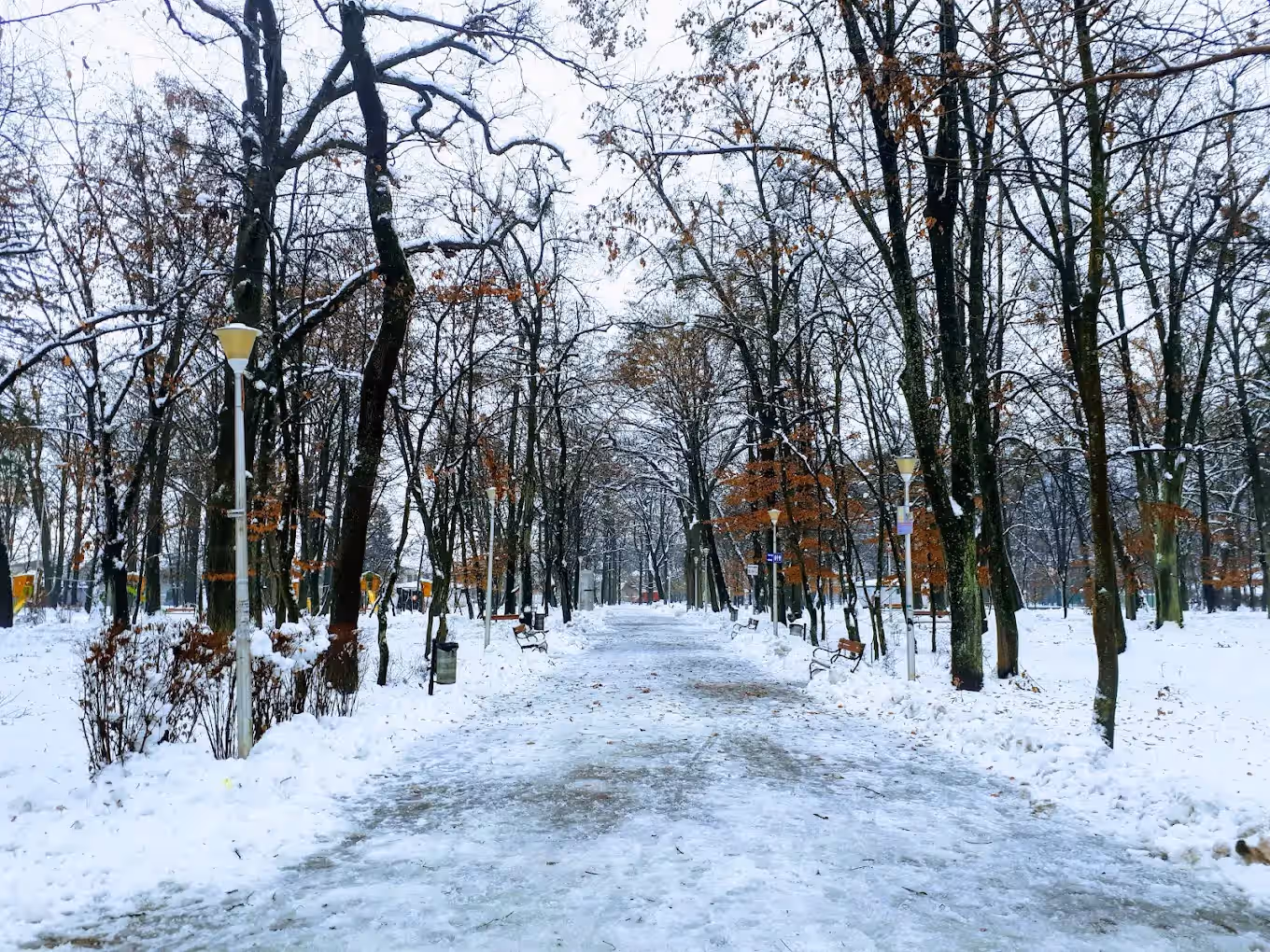 Parcul Municipal Regina Maria din Baia Mare, România, fotografia 8