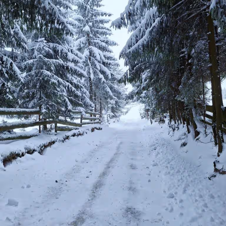 Mokki din Mărișel, România, fotografia 13 Mokki din Mărișel, România, fotografia 13