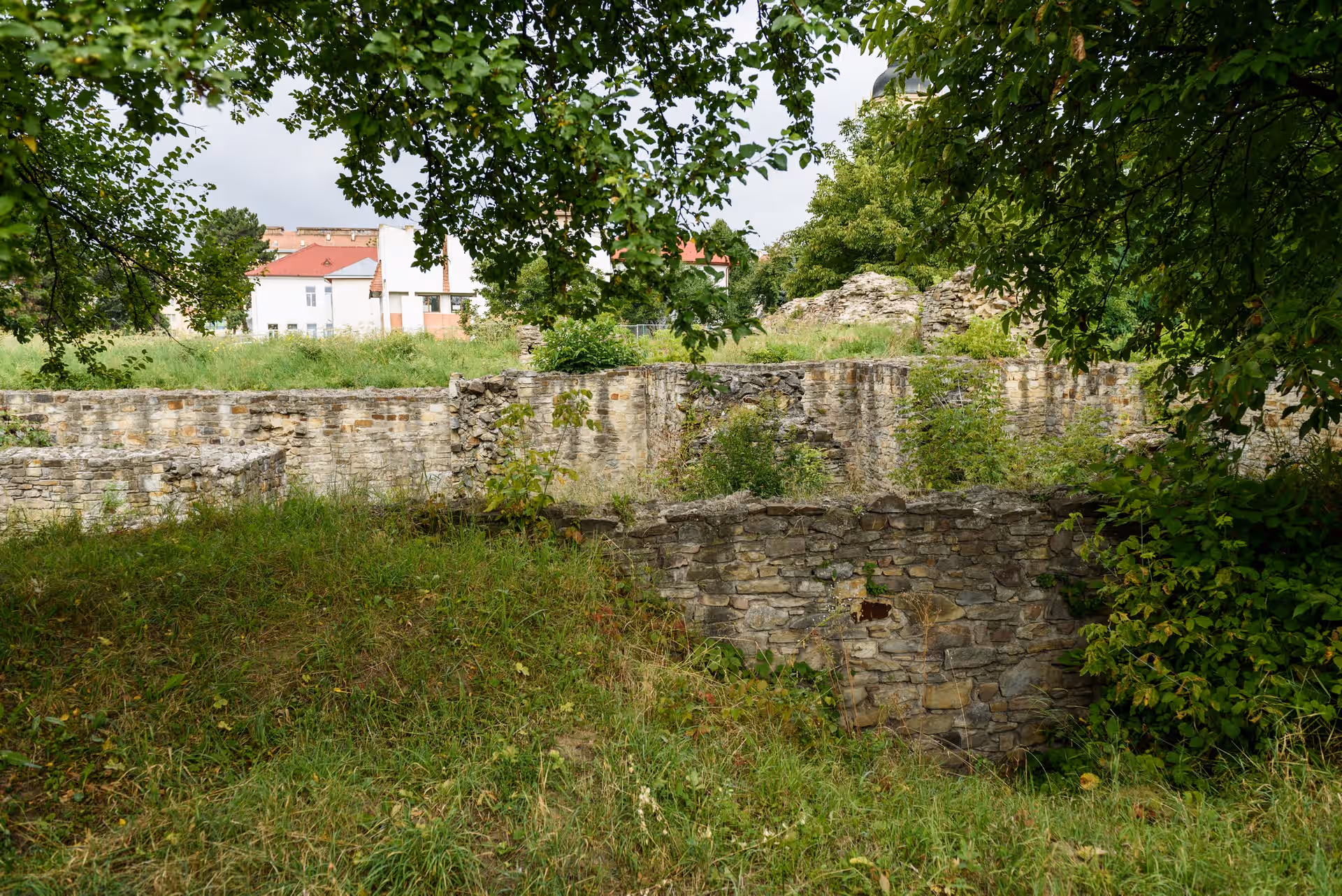 Curtea Domnească din Suceava din Suceava, România, fotografia 3