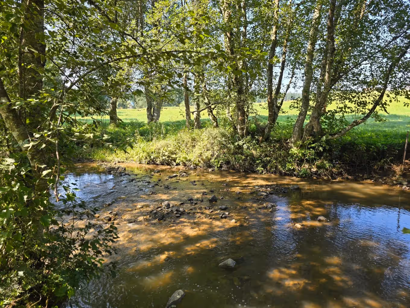 Rezervația Tinovul Mare Poiana Stampei din Poiana Stampei, România, fotografia 9
