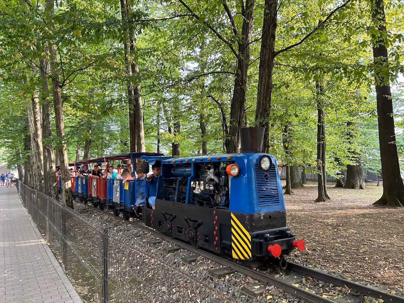Parcul Municipal Regina Maria din Baia Mare, România, fotografia 5