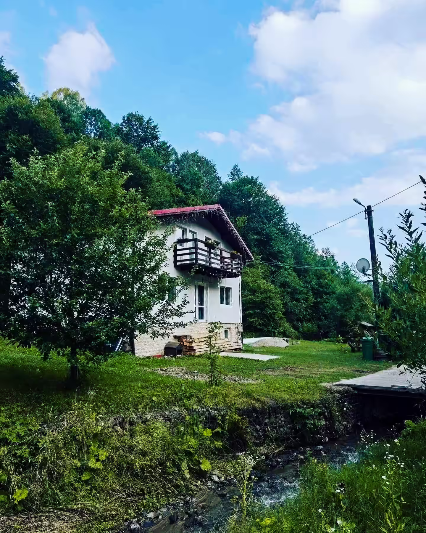 Exteriorul casei Di&D House cu vedere spre pădurea din Valea Jiului Exteriorul casei Di&D House cu vedere spre pădurea din Valea Jiului
