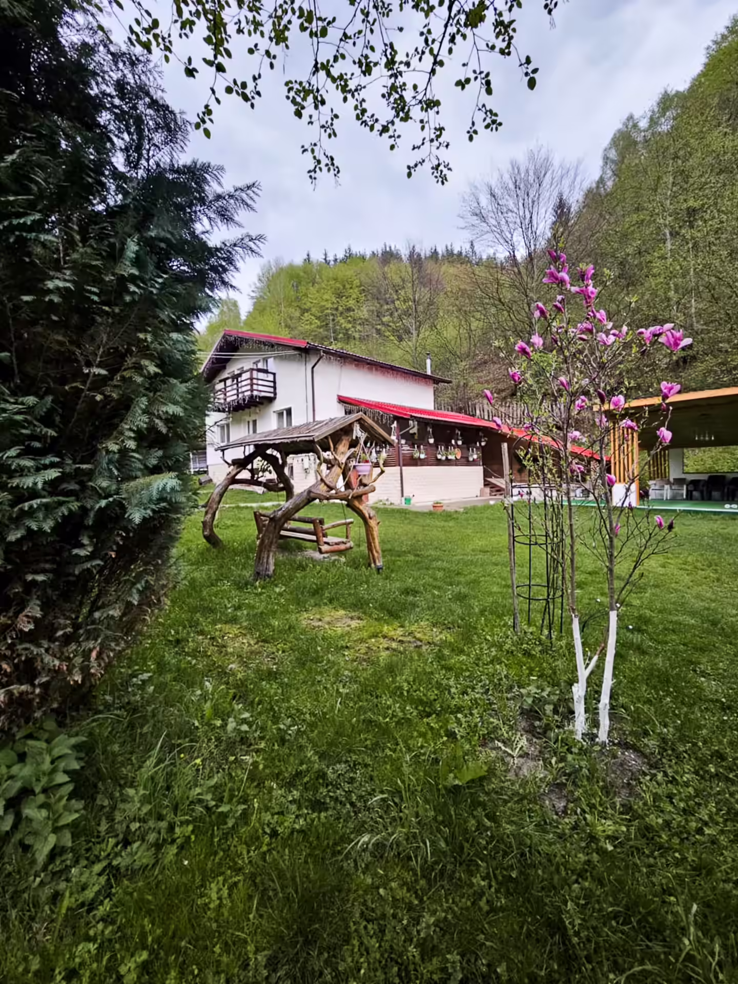 Curtea verde a Di&D House primăvara, Bănița, județul Hunedoara Curtea verde a Di&D House primăvara, Bănița, județul Hunedoara