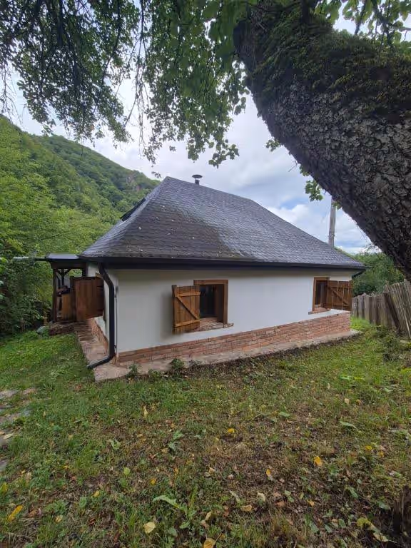 Bats Cave Hut Transylvania din Sub Piatră, România, fotografia 12