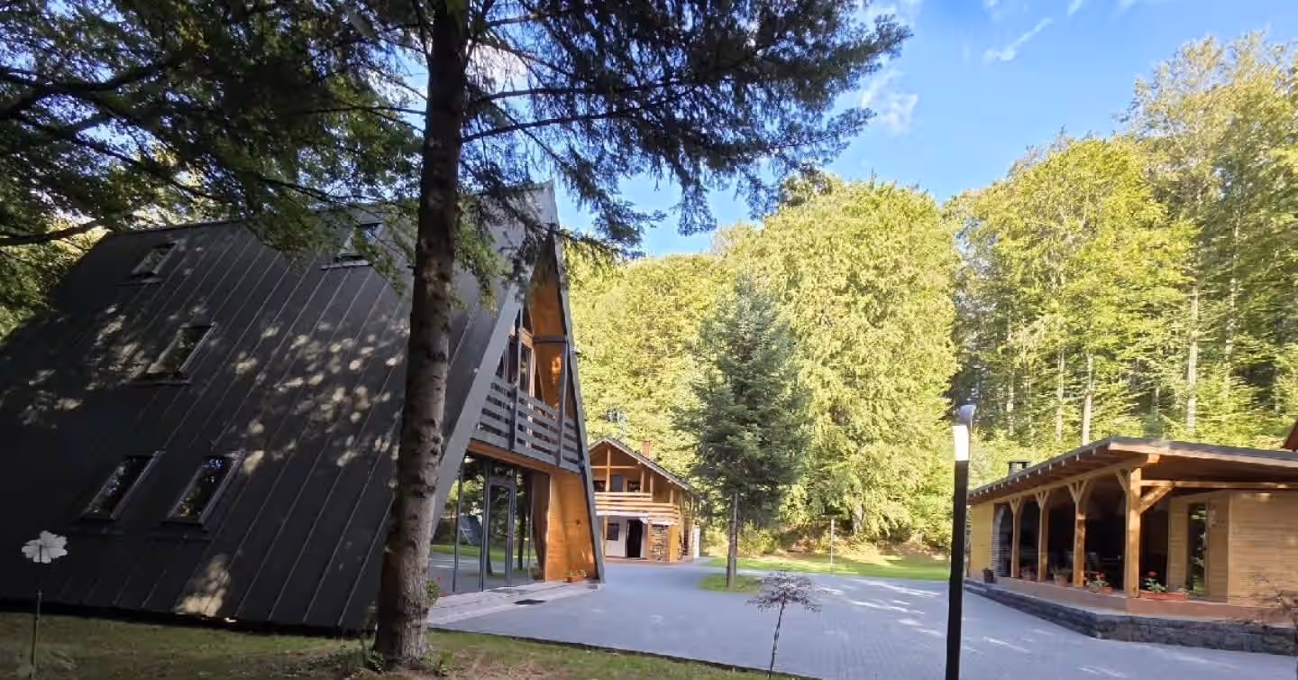 Cabana Hubertus, cabană de închiriat în Valea Avrigului, Munții Făgăraș, Sibiu, fotografia 14 Cabana Hubertus, cabană de închiriat în Valea Avrigului, Munții Făgăraș, Sibiu, fotografia 14