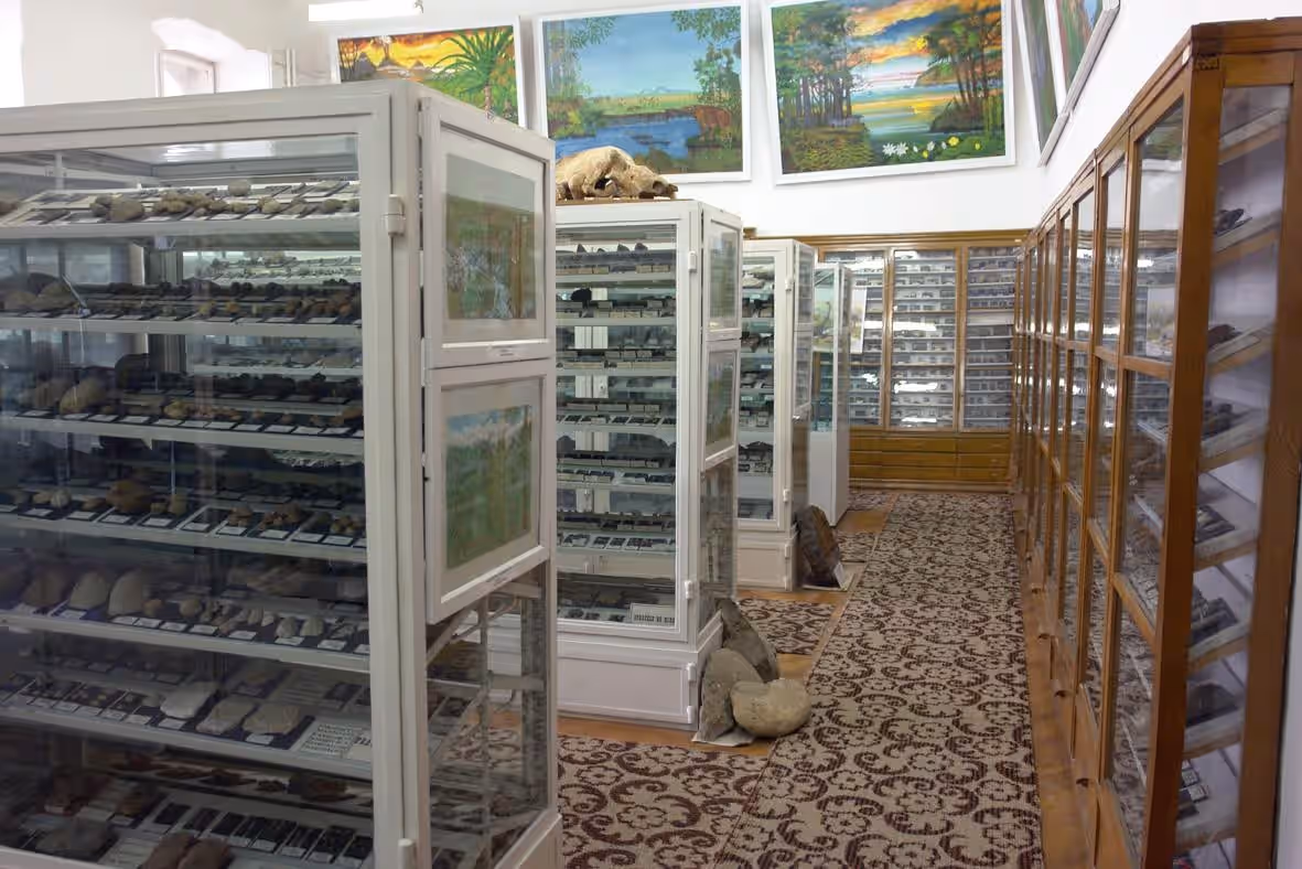 Muzeul de Mineralogie UBB din Cluj-Napoca, România, fotografia 8