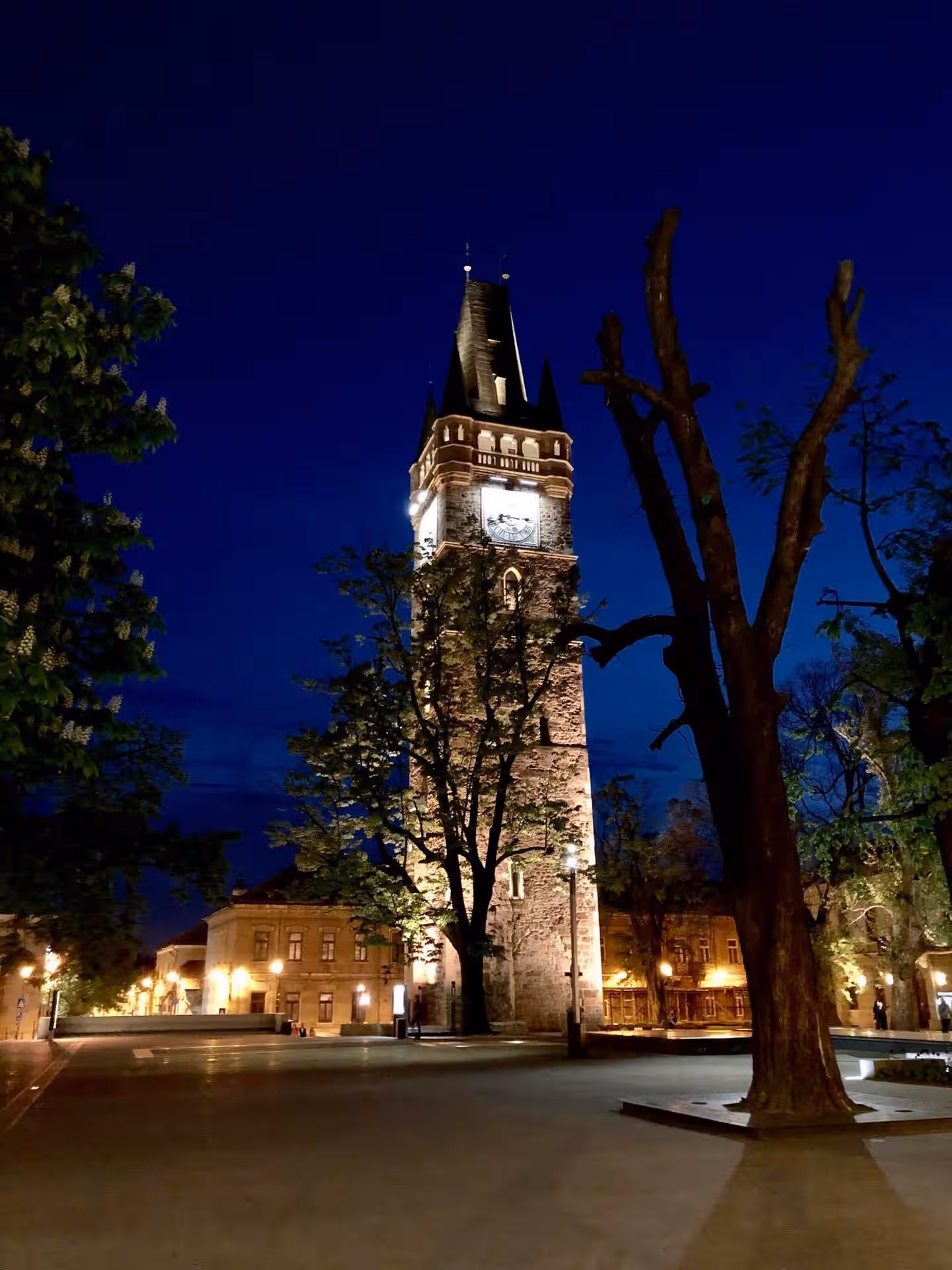 Turnul Ștefan din Baia Mare, România, fotografia 4