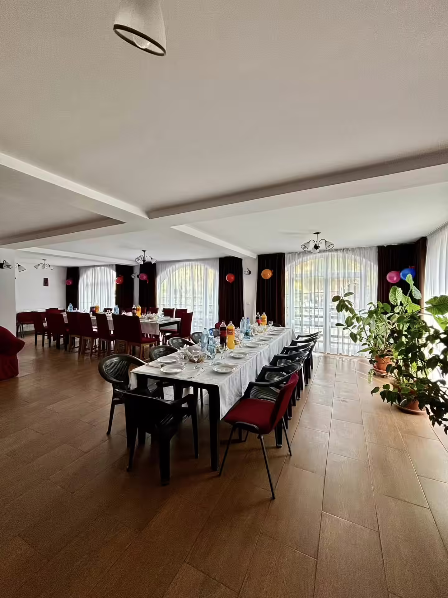 Sală de mese luminoasă cu plante la Casa Leu Sală de mese luminoasă cu plante la Casa Leu