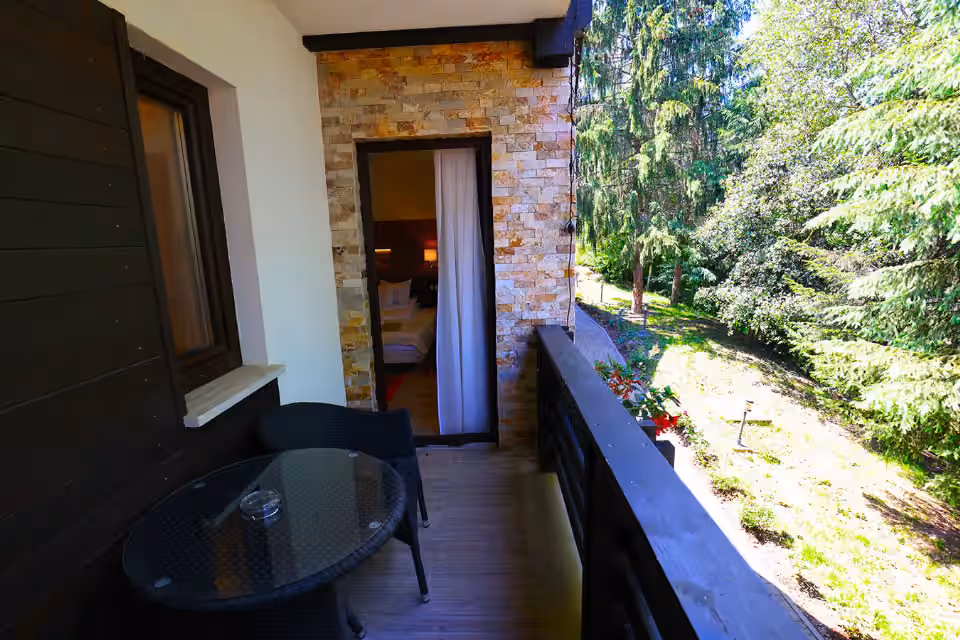 Domeniul de Poveste Lidana, hotel în Vama, Bucovina, fotografia 43