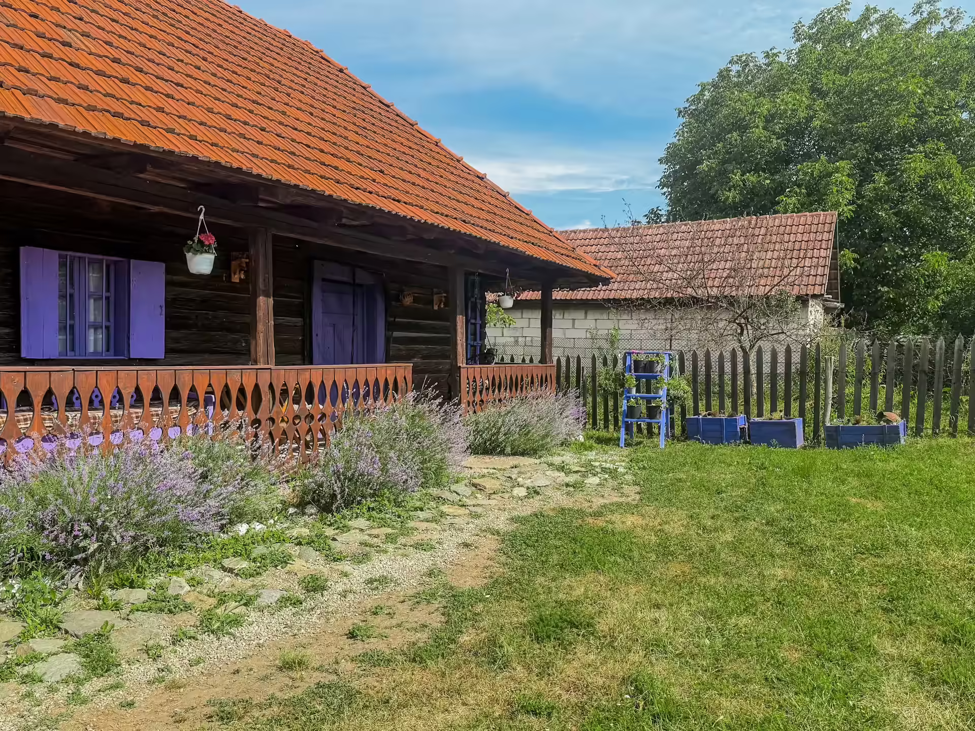 Alee mărginită de lavandă spre Casa cu Lavandă, Petroșani Alee mărginită de lavandă spre Casa cu Lavandă, Petroșani