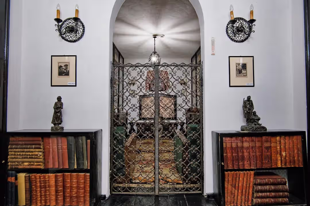 Intrare cu grilaj din fier forjat și biblioteci în Muzeul Cezar Petrescu Intrare cu grilaj din fier forjat și biblioteci în Muzeul Cezar Petrescu