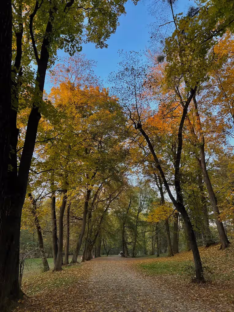 Parcul Sub Arini din Sibiu, România, fotografia 11 Parcul Sub Arini din Sibiu, România, fotografia 11