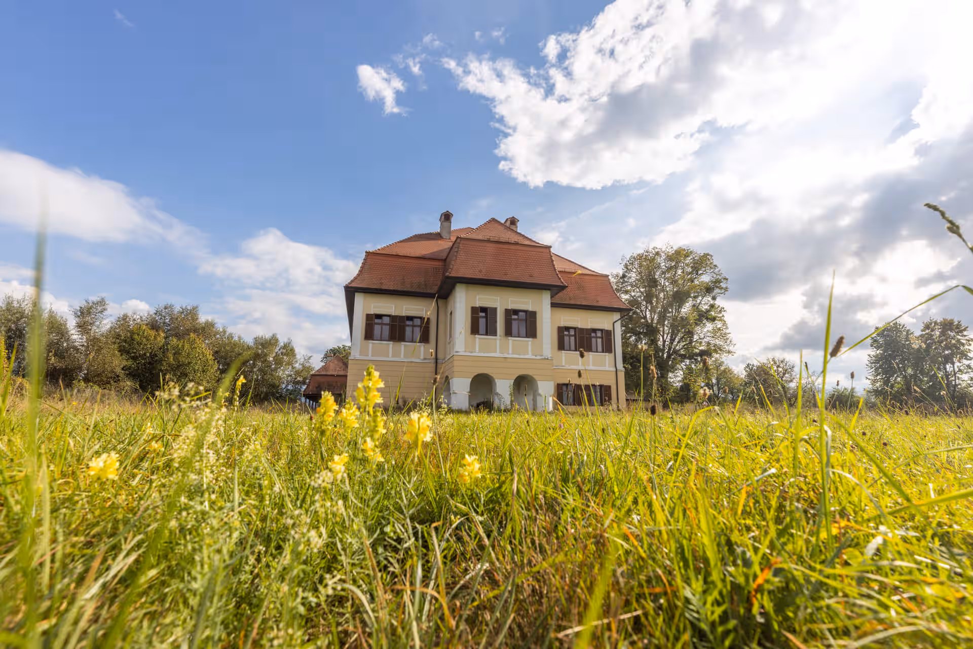 Castelul Brâncoveanu văzut peste pajiștea cu flori galbene
