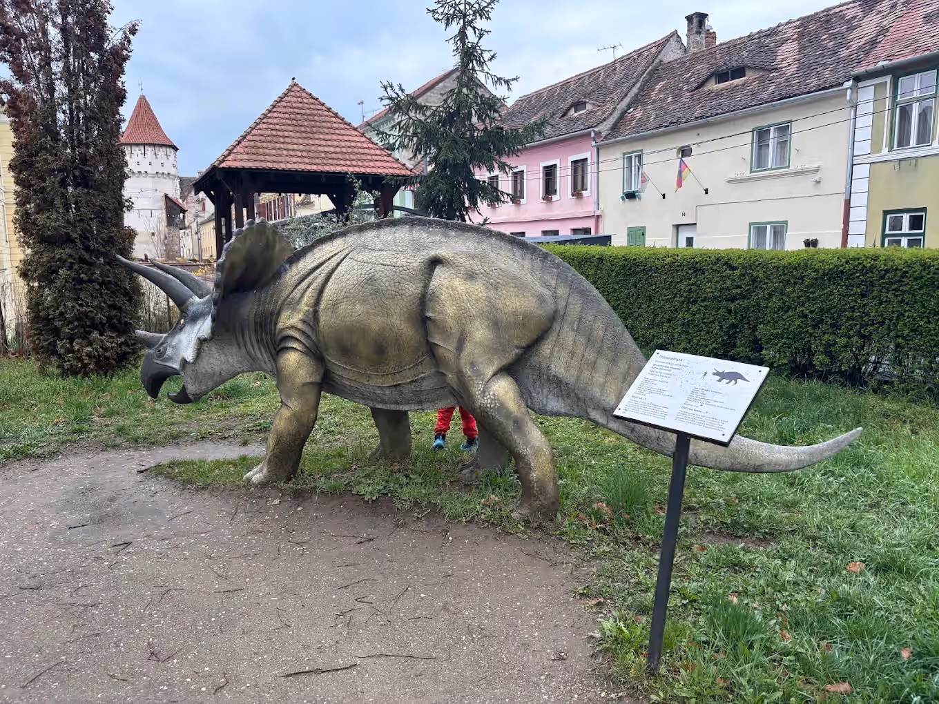 Muzeul de Istorie Naturală Sibiu din Sibiu, România, fotografia 10 Muzeul de Istorie Naturală Sibiu din Sibiu, România, fotografia 10