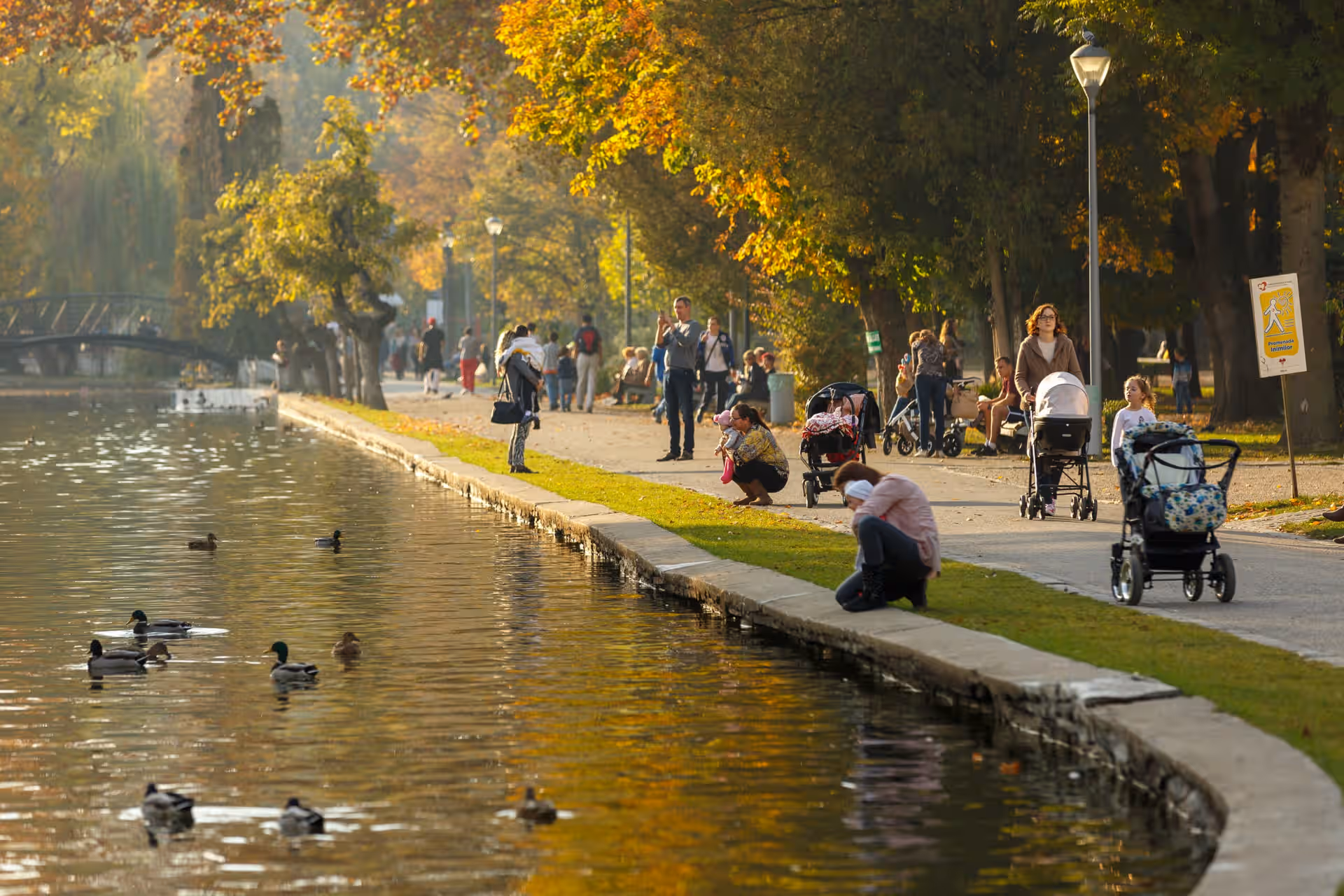 Parcul Central Simion Bărnuțiu din Cluj-Napoca, România, fotografia 4 Parcul Central Simion Bărnuțiu din Cluj-Napoca, România, fotografia 4