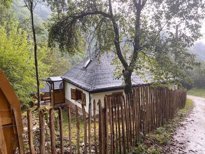 Bats Cave Hut Transylvania din Sub Piatră, România, fotografia 7