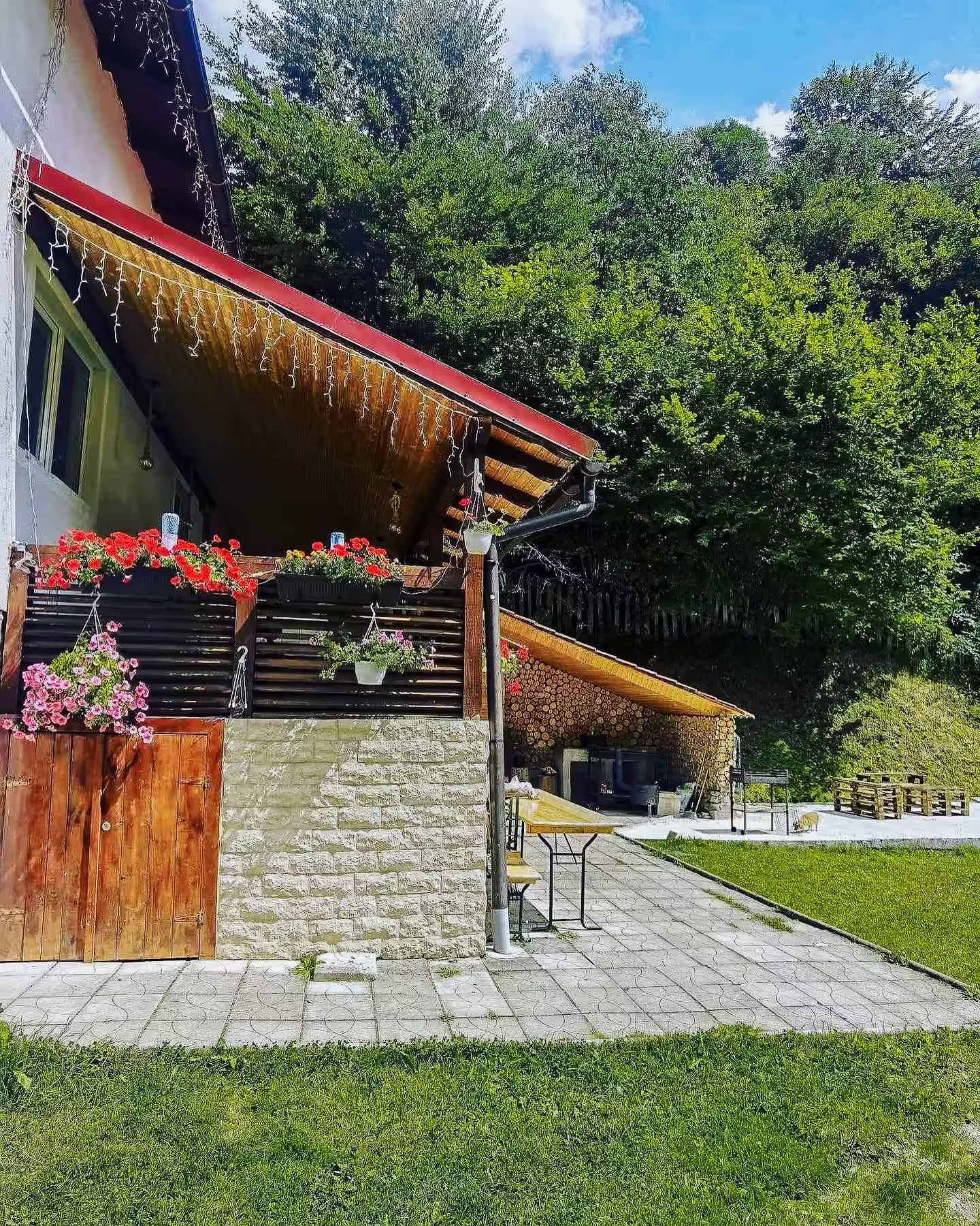 Terasa cu flori și scări de acces la Di&D House, Valea Jiului Terasa cu flori și scări de acces la Di&D House, Valea Jiului