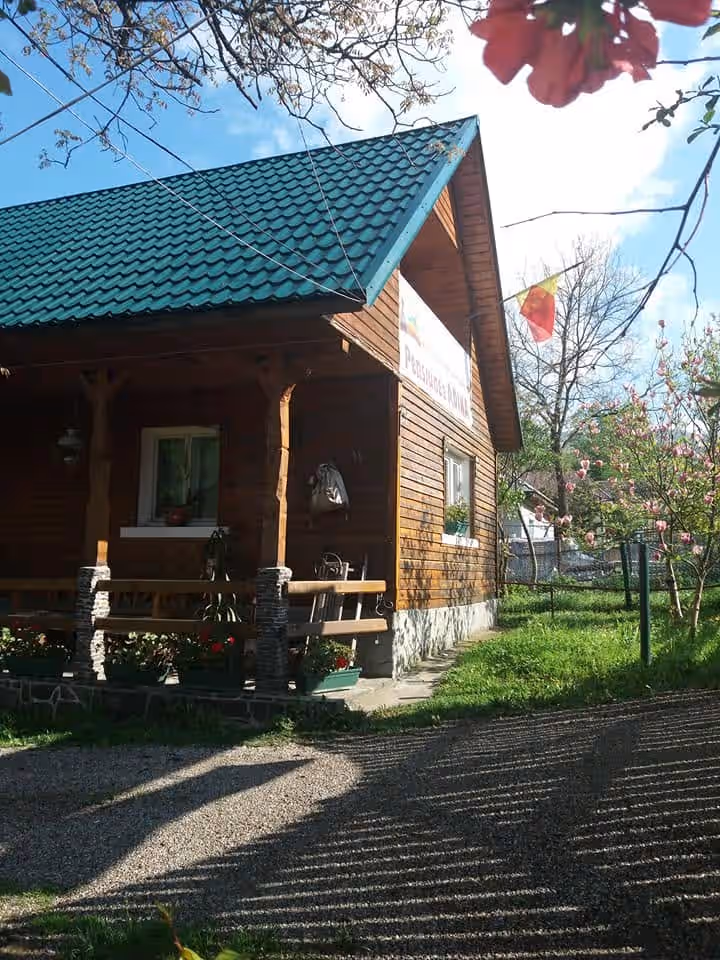 Pensiunea Adina din Cavnic, România, fotografia 13