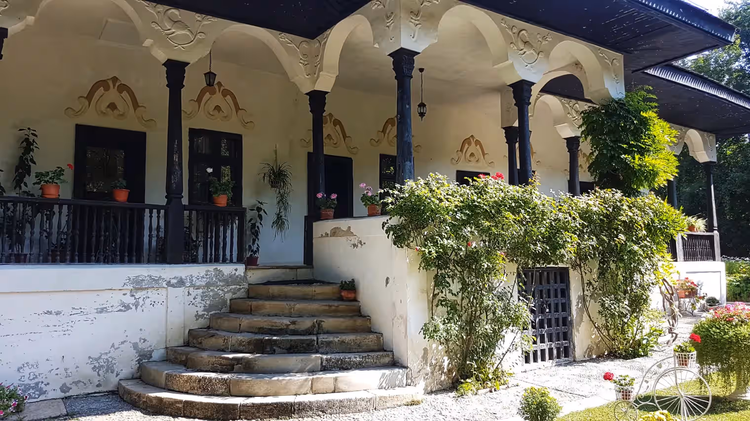 Scara de piatră cu iederă a Conacului Bellu Scara de piatră cu iederă a Conacului Bellu