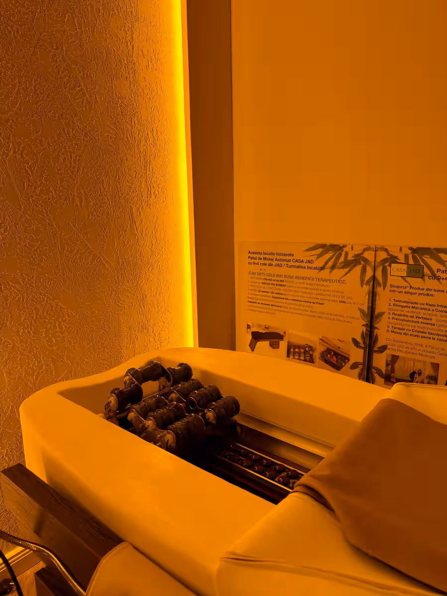 Green House Stolzenburg, pensiune cu SPA privat în Slimnic, lângă Sibiu, fotografia 9
