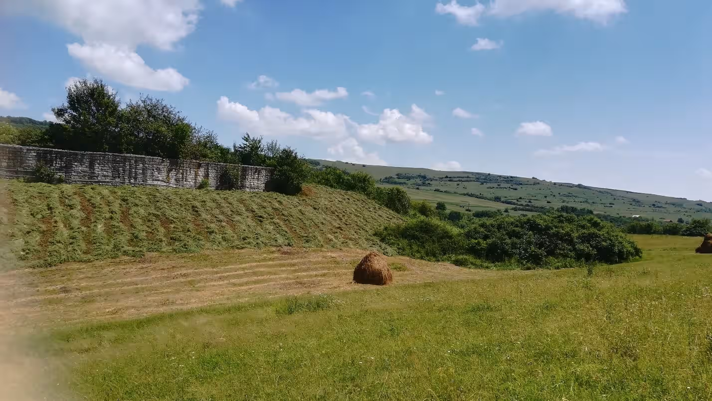 Cetatea Dăbâca din Dăbâca, România, fotografia 8