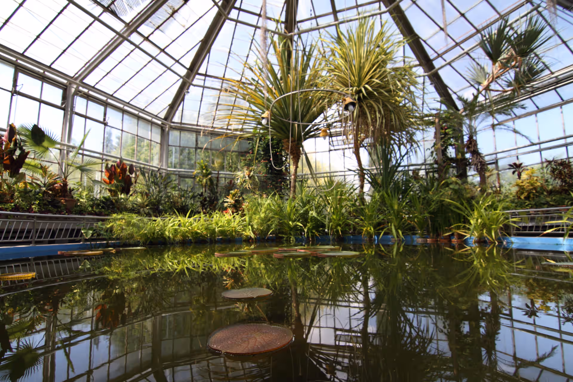 Grădina Botanică Alexandru Borza din Cluj-Napoca, România, fotografia 9