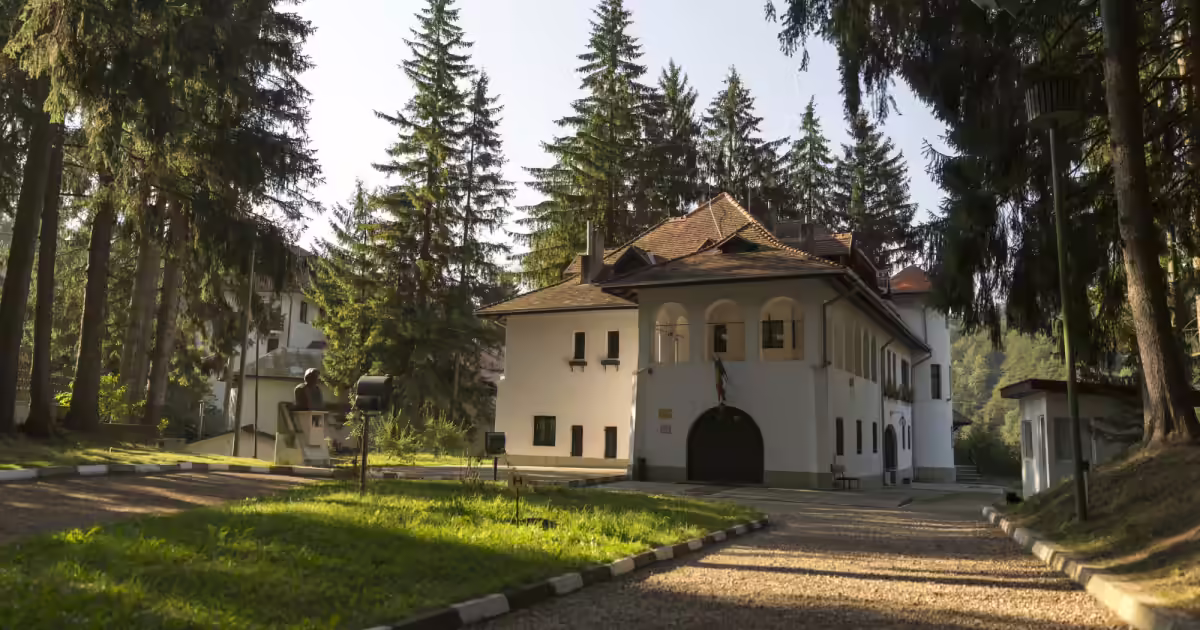 Vila Luminiș înconjurată de brazi, Sinaia