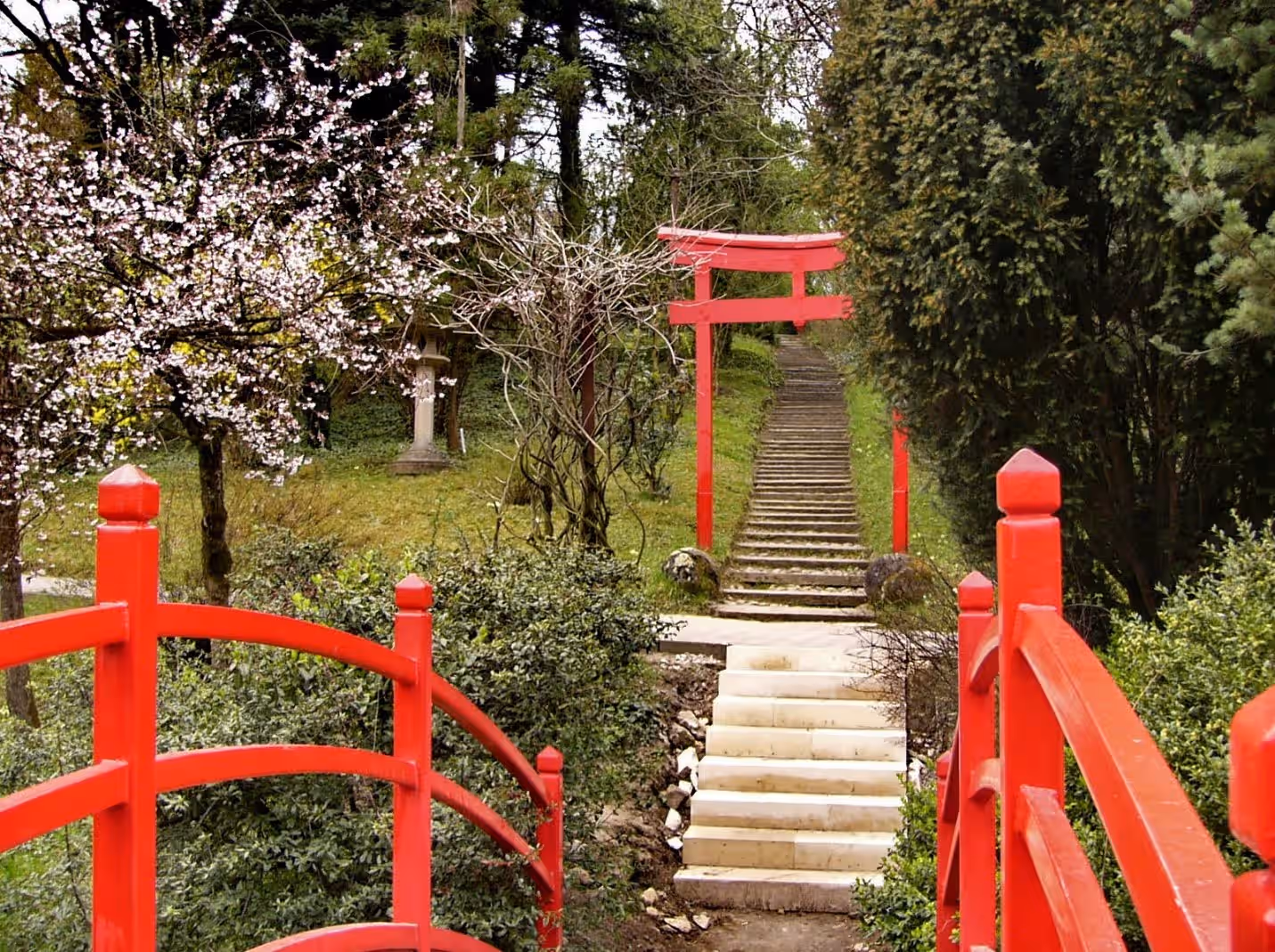 Grădina Botanică Alexandru Borza din Cluj-Napoca, România, fotografia 14