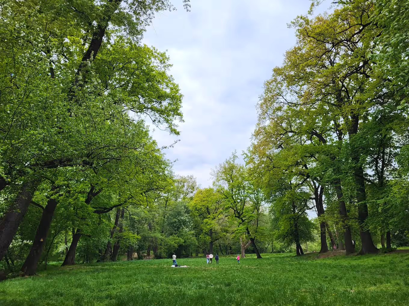 Parcul Sub Arini din Sibiu, România, fotografia 10 Parcul Sub Arini din Sibiu, România, fotografia 10