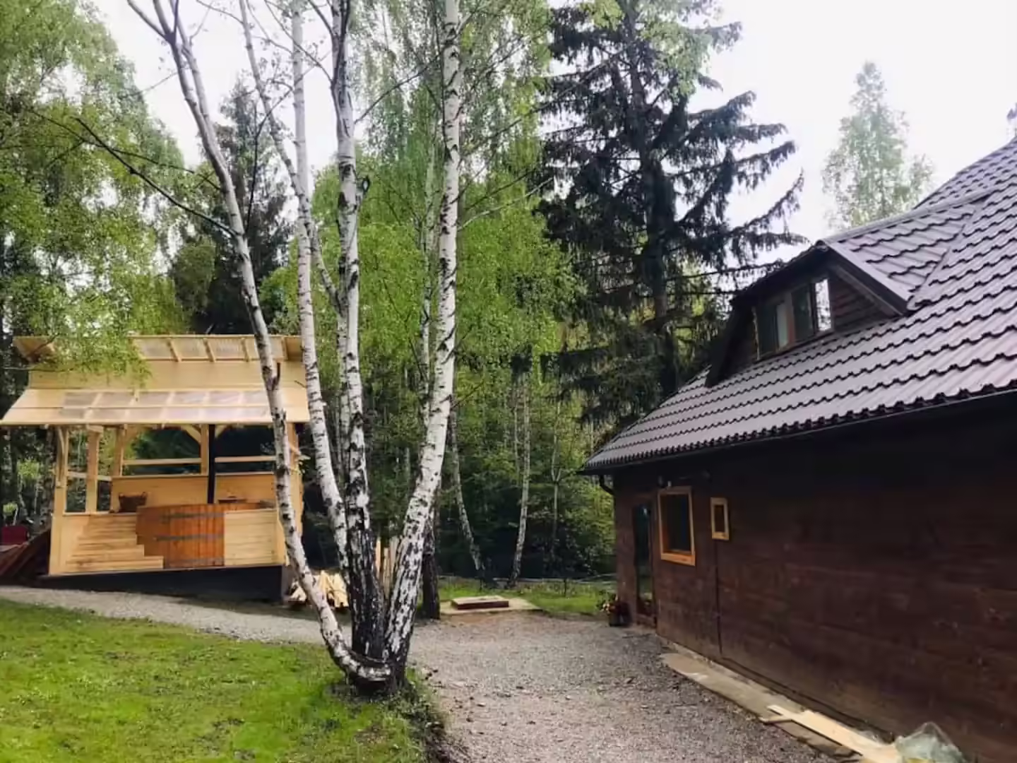 Cabana din Pădurea Beliș văzută din curtea cu mesteceni