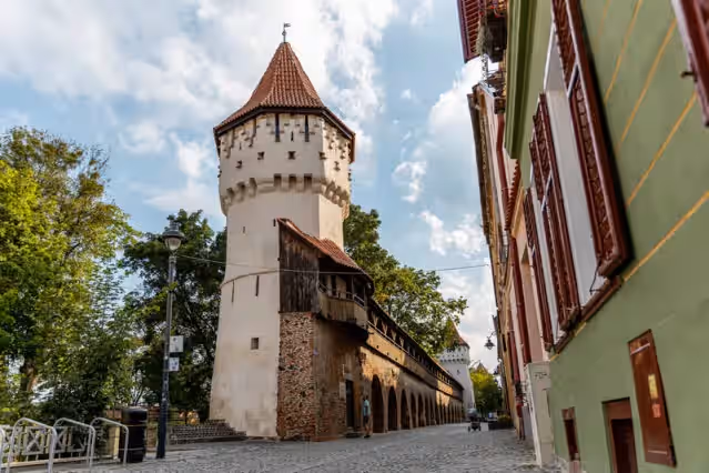 Parcul Cetății din Sibiu, România, fotografia 11