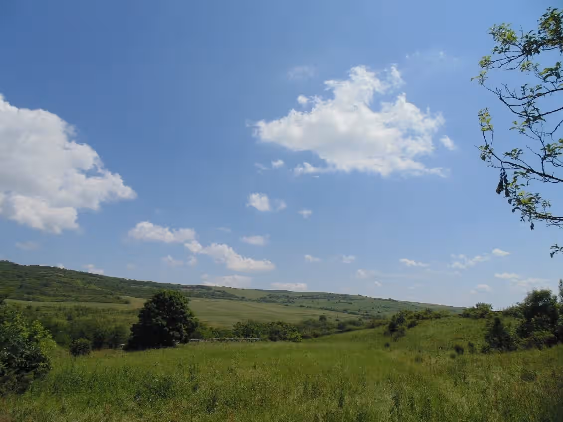 Cetatea Dăbâca din Dăbâca, România, fotografia 6