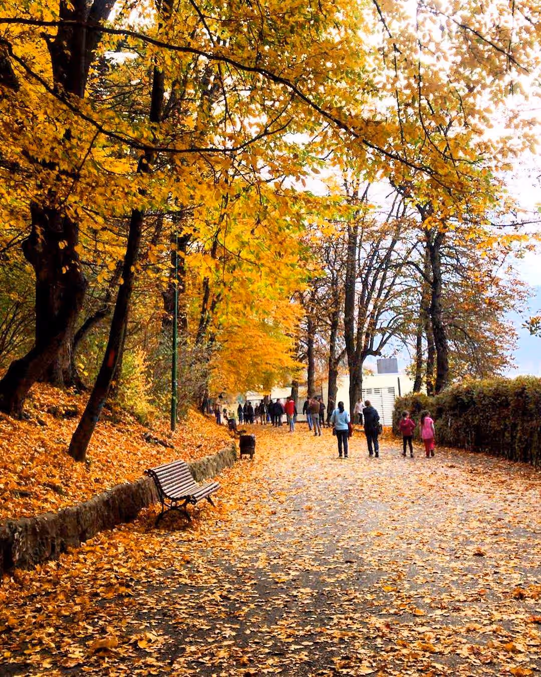 Promenada de sub Tâmpa din Brașov, România, fotografia 10 Promenada de sub Tâmpa din Brașov, România, fotografia 10