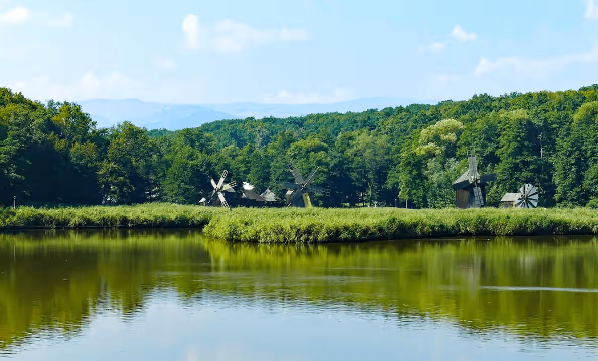 Parcul Natural Dumbrava Sibiului din Sibiu, România, fotografia 4