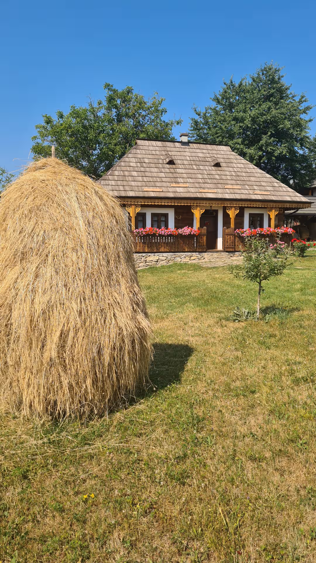 Pensiunea La Roată din Gura Humorului, România, fotografia 71 Pensiunea La Roată din Gura Humorului, România, fotografia 71