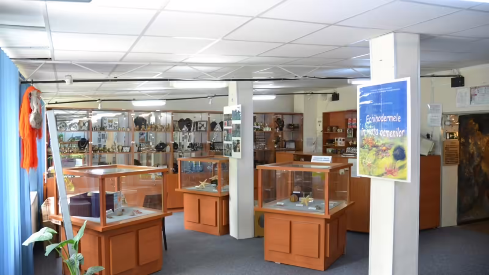Sala cu vitrine de roci și minerale, Muzeul Rezervației Naturale Bucegi