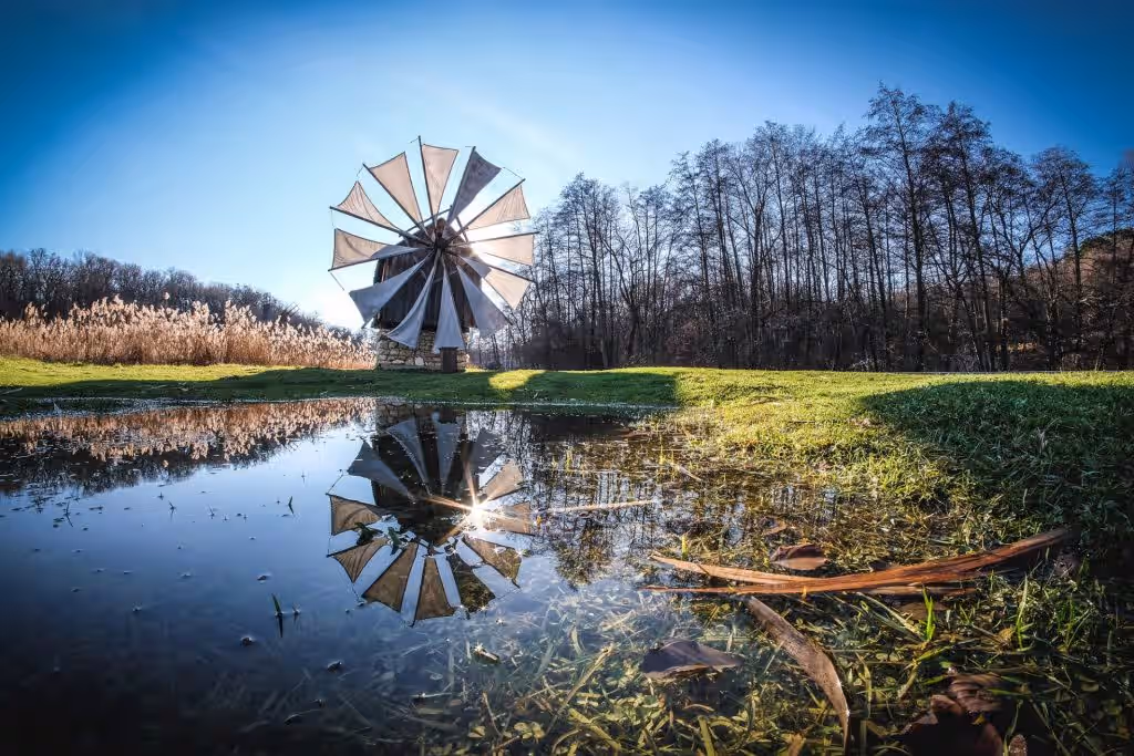 Parcul Natural Dumbrava Sibiului din Sibiu, România, fotografia 7