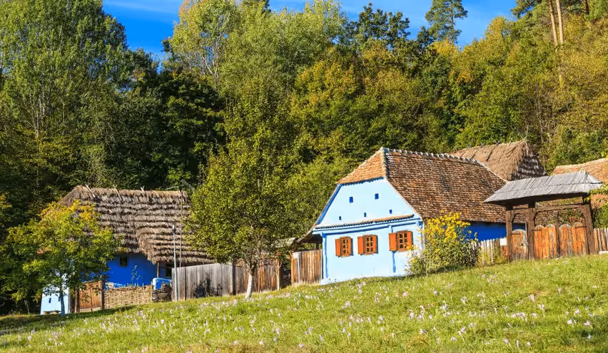 Parcul Natural Dumbrava Sibiului din Sibiu, România, fotografia 5