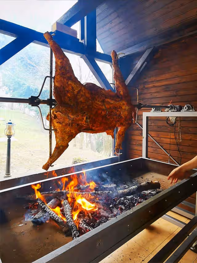 Domeniul de Poveste Lidana, hotel în Vama, Bucovina, fotografia 13