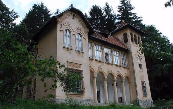 Muzeul Memorial Octavian Goga din Ciucea, România, fotografia 15