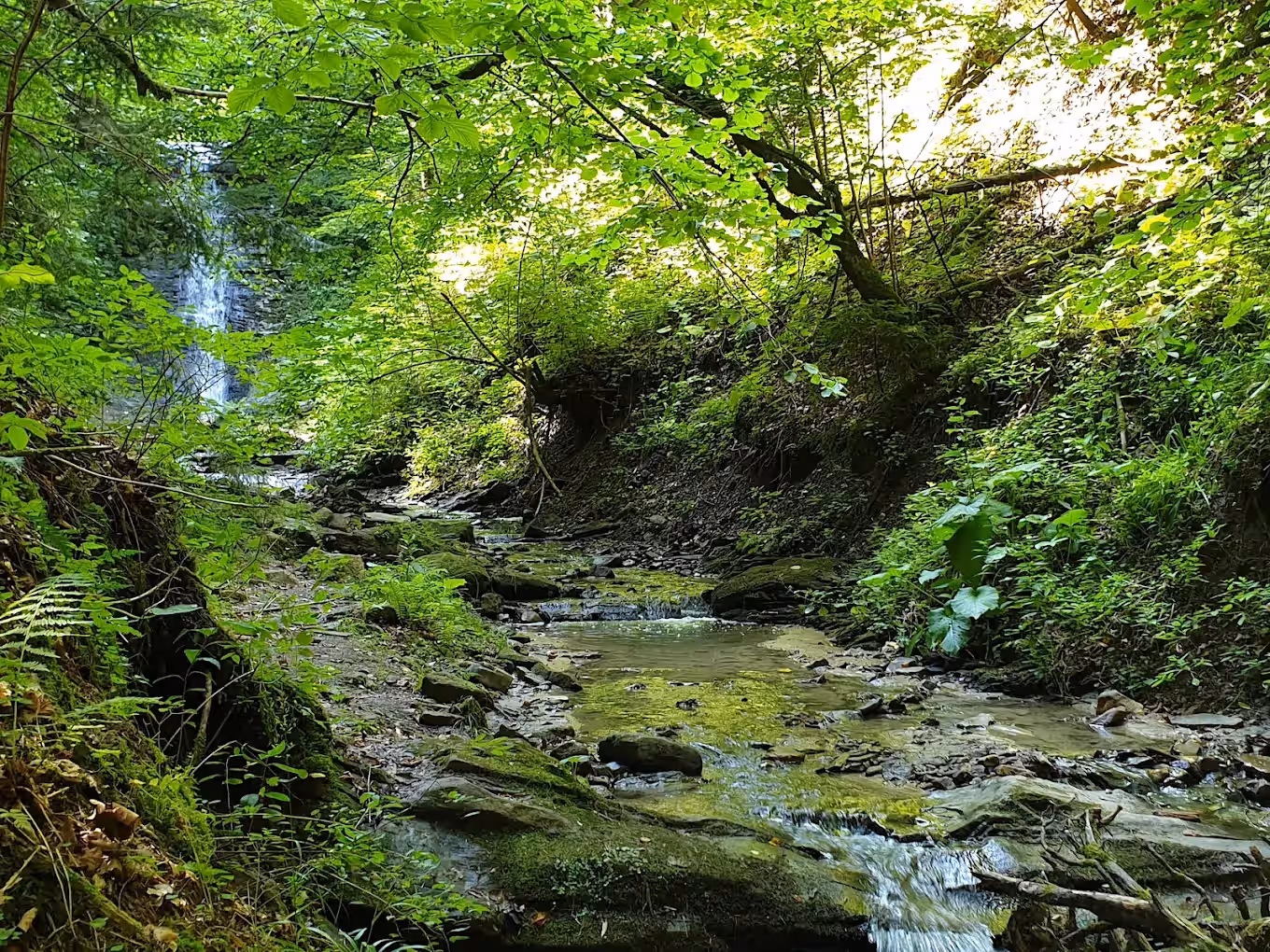 Cascada Bursuc din Putna, România, fotografia 12 Cascada Bursuc din Putna, România, fotografia 12