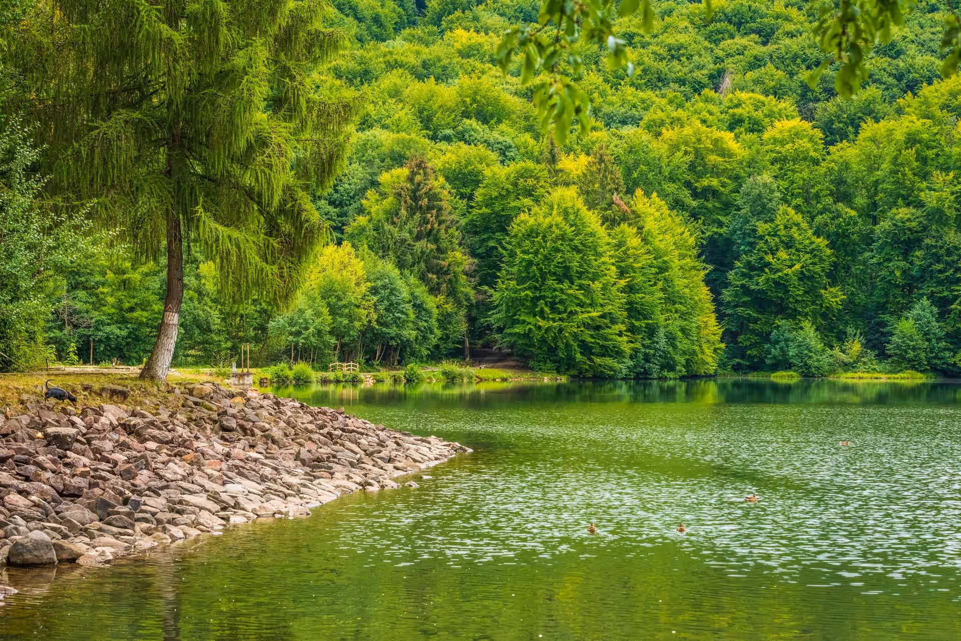 Lacul Bodi Mogoșa din Baia Sprie, România, fotografia 2